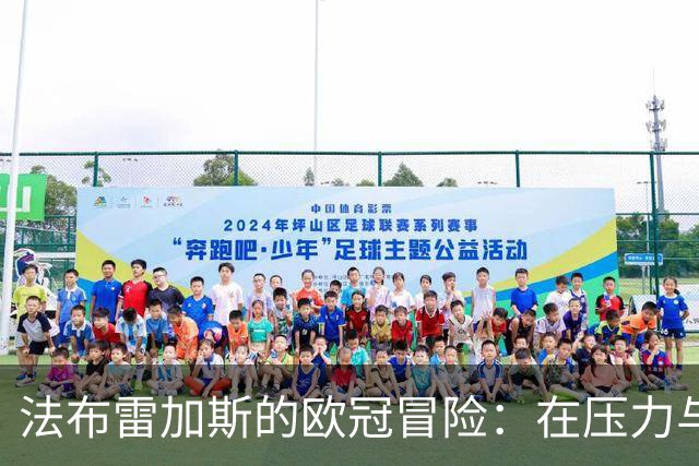 法布雷加斯的欧冠冒险：在压力与期盼中寻找平衡